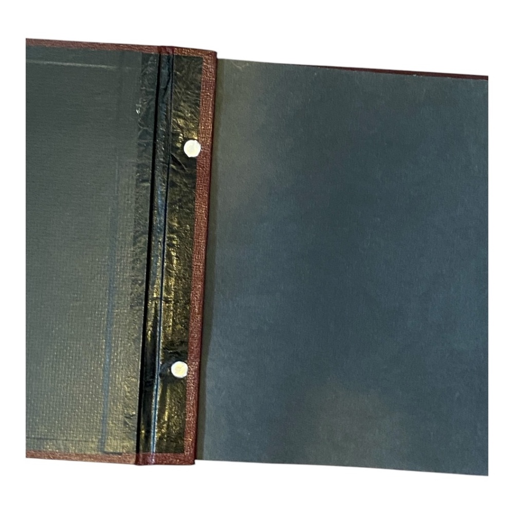 Vintage photo album. Etched painted detail with birds - Picture 4 of 16